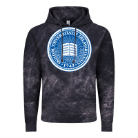Cloud Black University Of Delaware Vintage Hoodie - linhVisuals
