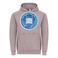Vintage Zinc University Of Delaware Vintage Hoodie - linhVisuals