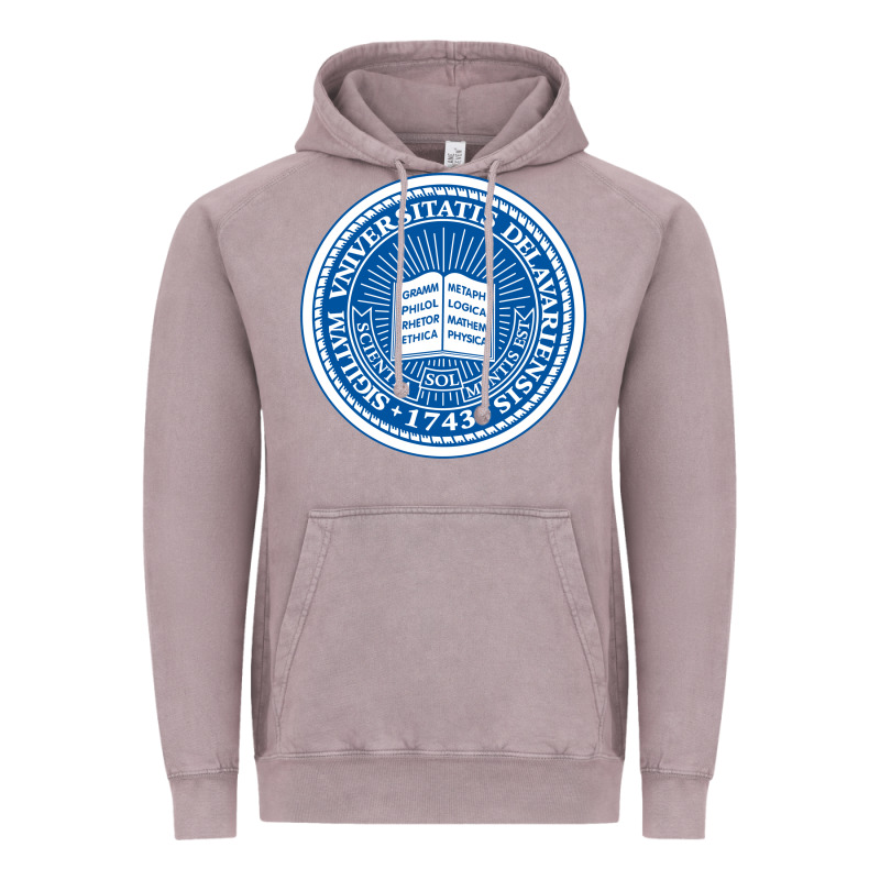 University Of Delaware Vintage Hoodie by linhVisuals | Teevron