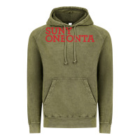 Vintage Olive Suny Oneonta Wordmark Vintage Hoodie - linhVisuals