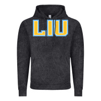 Vintage Black Liu Gold Wordmark Vintage Hoodie - linhVisuals