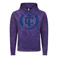 Cloud Purple ithaca college bombers Vintage Hoodie - linhVisuals