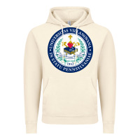 Vintage Artic villanova university Vintage Hoodie - linhVisuals