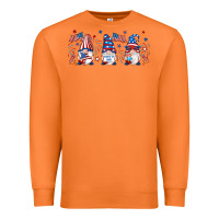 Carrot 4th of july gnomes libbey glass Premium Sweatshirt - RanaPortraitStore