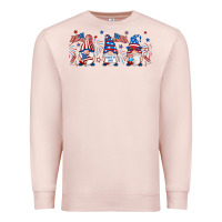 Pale Pink 4th of july gnomes libbey glass Premium Sweatshirt - RanaPortraitStore