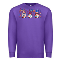 4th Of July Gnomes Libbey Glass Premium Sweatshirt | Teevron