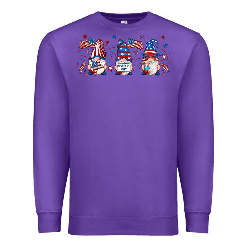 4th Of July Gnomes Libbey Glass Premium Sweatshirt by RanaPortraitStore | Teevron