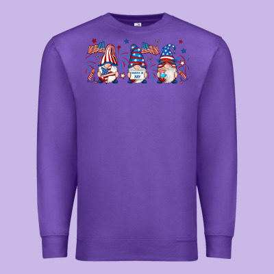 4th Of July Gnomes Libbey Glass Premium Sweatshirt Designed By Ranaportraitstore