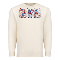 Sandshell 4th of july gnomes libbey glass Premium Sweatshirt - RanaPortraitStore
