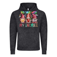 100 Days With My Gnomies Vintage Hoodie | Teevron