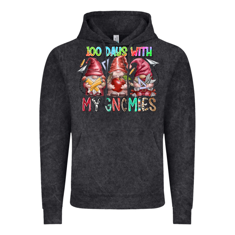 100 Days With My Gnomies Vintage Hoodie by RacoonDesign | Teevron