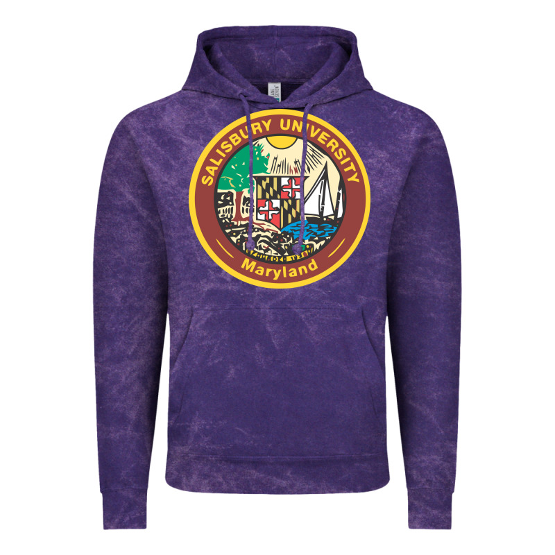 Salisbury University Vectorized Vintage Hoodie by linhVisuals | Teevron