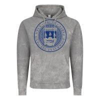 Cloud Rock Brandeis University Vintage Hoodie - linhVisuals