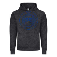Vintage Black Brandeis University Vintage Hoodie - linhVisuals