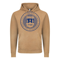 Vintage Camel Brandeis University Vintage Hoodie - linhVisuals