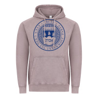 Vintage Zinc Brandeis University Vintage Hoodie - linhVisuals