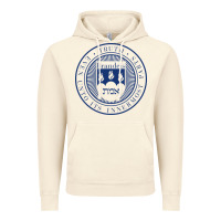 Vintage Artic Brandeis University Vintage Hoodie - linhVisuals