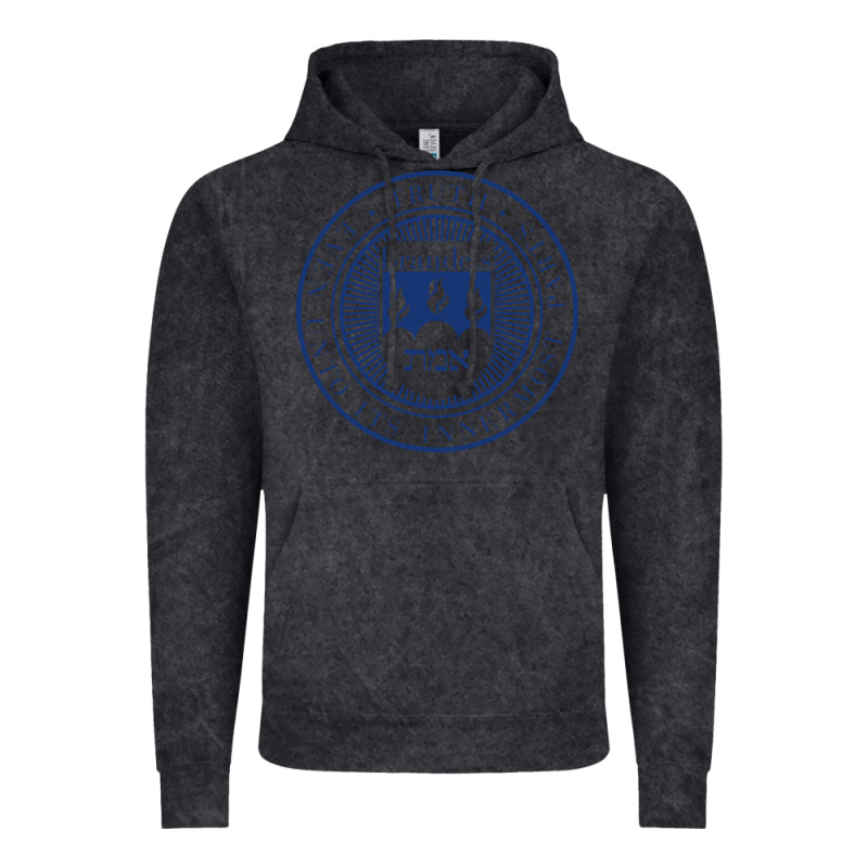 Brandeis University Vintage Hoodie by linhVisuals | Teevron