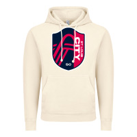 Vintage Artic st louis city Vintage Hoodie - linhVisuals