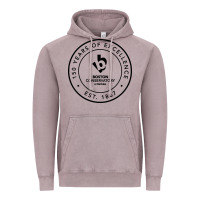 Vintage Zinc boston conservatory Vintage Hoodie - linhVisuals