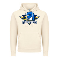 Vintage Artic the thunderbirds springfield Vintage Hoodie - linhVisuals