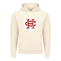 Vintage Artic hanover college Vintage Hoodie - linhVisuals
