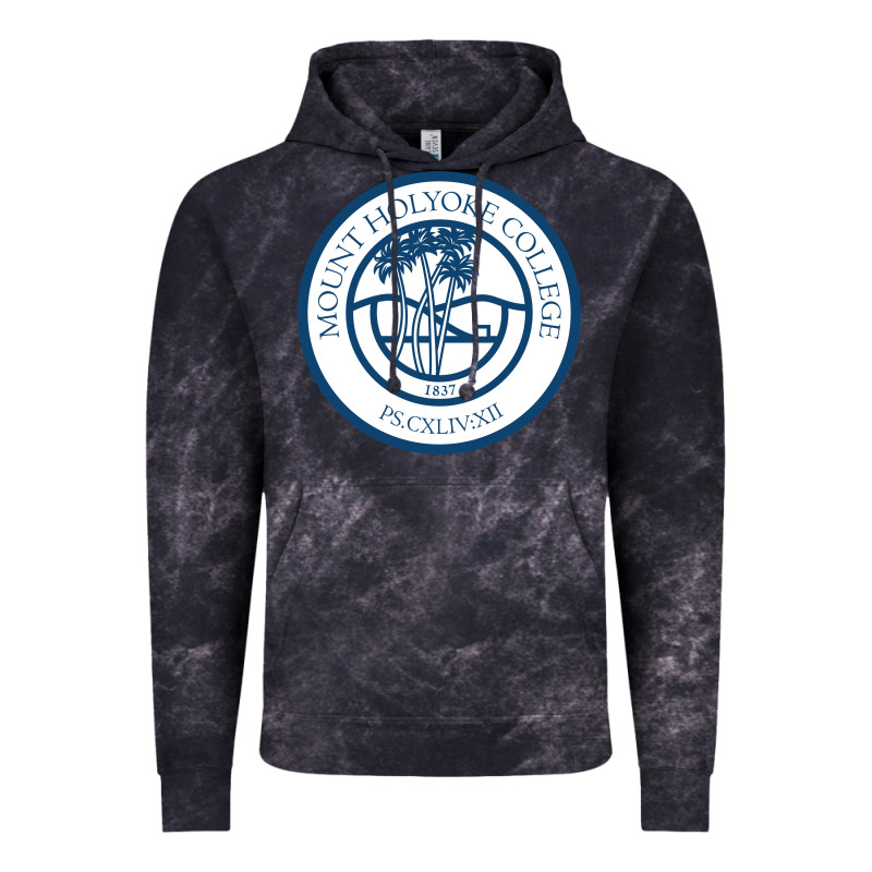 Mount Holyoke College Vintage Hoodie by linhVisuals | Teevron