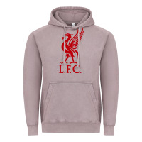 Liverpool Team Vintage Hoodie | Teevron