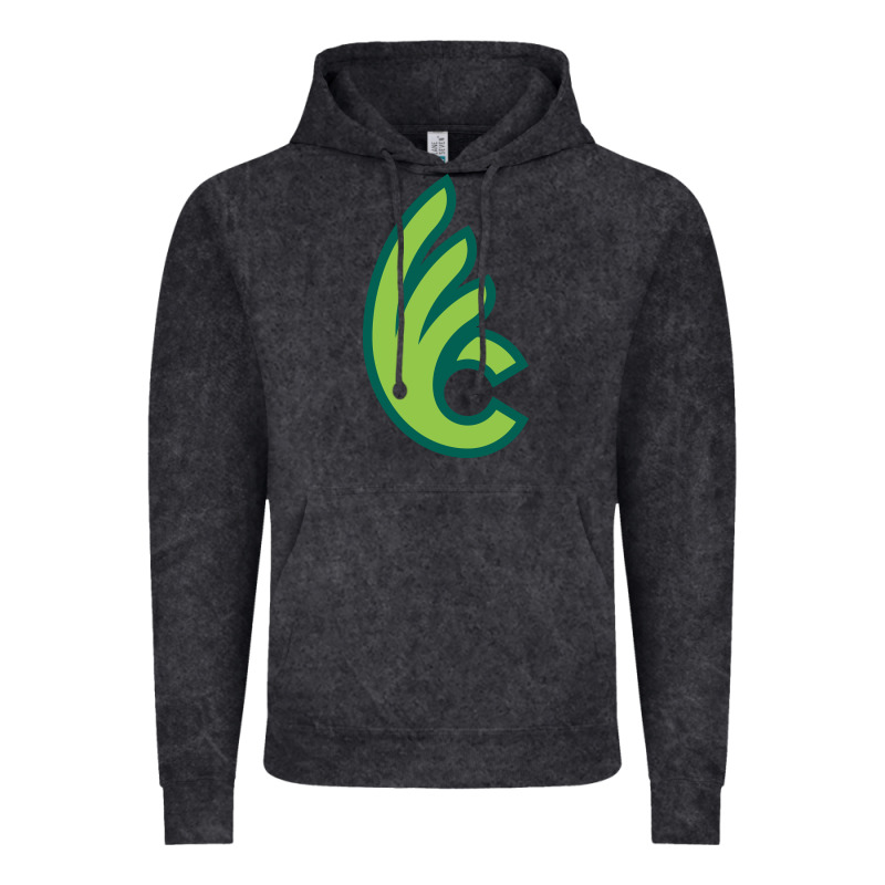 Wilmington College Quaqers Vintage Hoodie by linhVisuals | Teevron