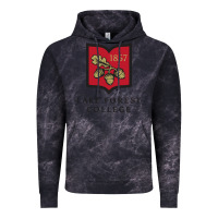 Cloud Black Lake Forest College Vintage Hoodie - linhVisuals