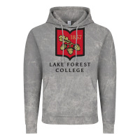 Cloud Rock Lake Forest College Vintage Hoodie - linhVisuals
