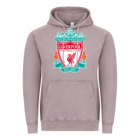 Vintage Zinc the-liverpool-pen Vintage Hoodie - linhVisuals