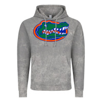 Cloud Rock go florida gators football Vintage Hoodie - linhVisuals