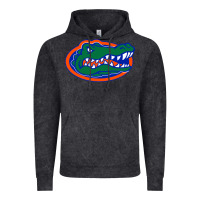 Go Florida Gators Football Vintage Hoodie | Teevron