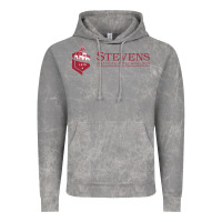 Cloud Rock Stevens Institute of Technology Vintage Hoodie - linhVisuals