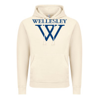 Vintage Artic Wellesley College Vintage Hoodie - linhVisuals