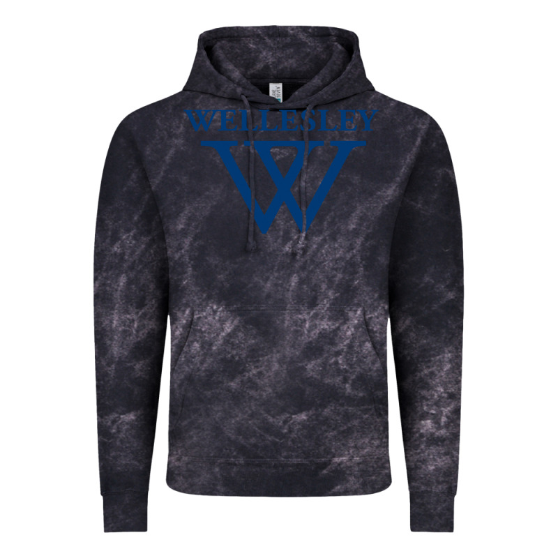 Wellesley College Vintage Hoodie by linhVisuals | Teevron
