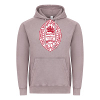 Vintage Zinc bard college Vintage Hoodie - linhVisuals
