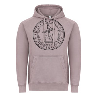Vintage Zinc dickinson college Vintage Hoodie - linhVisuals