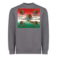 Storm Mexican Flag Heavyweight Sweatshirt - RanaPortraitStore
