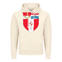 Vintage Artic Rensselaer Polytechnic Institute Vintage Hoodie - linhVisuals