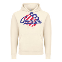 Vintage Artic the-rochester-americans-pen Vintage Hoodie - linhVisuals