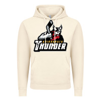 Vintage Artic the-adirondack-thunder-pen Vintage Hoodie - linhVisuals