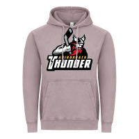 Vintage Zinc the-adirondack-thunder-pen Vintage Hoodie - linhVisuals