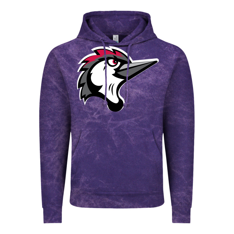 Fayetteville Woodpeckers Vintage Hoodie by linhVisuals | Teevron