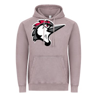 Vintage Zinc fayetteville woodpeckers Vintage Hoodie - linhVisuals