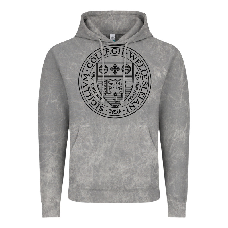 Wellesley College Vintage Hoodie by linhVisuals | Teevron