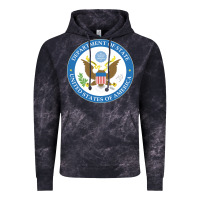 Cloud Black us department of state 2 Vintage Hoodie - linhVisuals