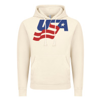 Vintage Artic usa hockey simple Vintage Hoodie - linhVisuals
