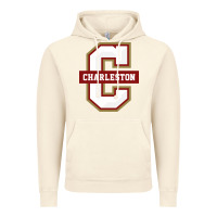 Vintage Artic the charleston cougars Vintage Hoodie - linhVisuals